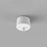 Single Canopy Ceiling Light