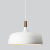 Acorn Pendant Light