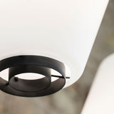 Dahl Pendant Light