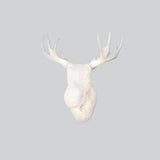 Moo Wall Light