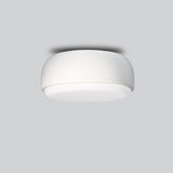 Over Me Ceiling and Wall Light