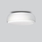 Over Me Ceiling and Wall Light