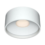 Flat Ceiling Light