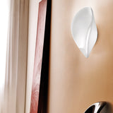Balance Wall Ceiling Light