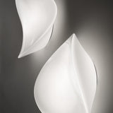 Balance Wall Ceiling Light