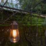 Drop Dual Cable Pendant Light