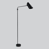 Birdy Swing Floor Lamp