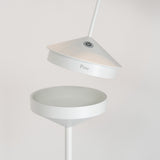 Pina Floor Lamp