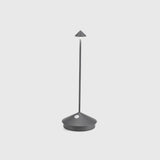 Pina Floor Lamp