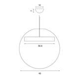 Reveal Pendant Light