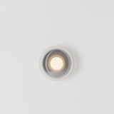 Dew Drops Wall/Ceiling Light
