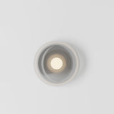 Dew Drops Wall/Ceiling Light