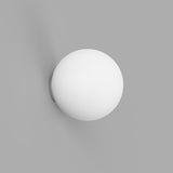 Orb Mirror Wall Light