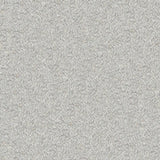 Grande Boucle Silver Fabric