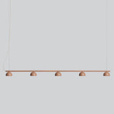 Blush Rail 5lt Pendant Light