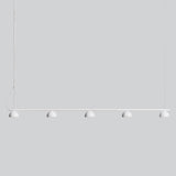 Blush Rail 5lt Pendant Light
