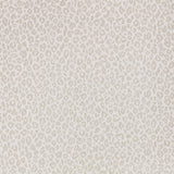 Kitty Wallpaper