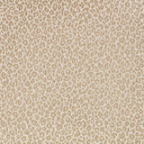 Kitty Wallpaper