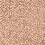 Kitty Wallpaper