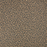 Kitty Wallpaper