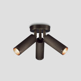 Spot Triple Ceiling Light