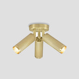 Spot Triple Ceiling Light