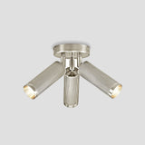 Spot Triple Ceiling Light