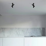 Tubes Ceiling Light