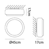 Bot Ceiling Wall Lamp