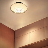 Loop Piatto Ceiling Wall Light