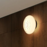 Loop Piatto Ceiling Wall Light