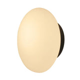 Loop Piatto Ceiling Wall Light