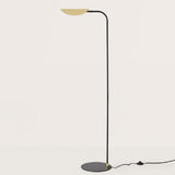 Ficus Floor Lamp