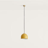 Alpha Pendant Light
