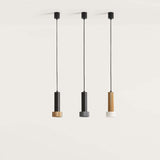 Focus Pendant Light