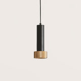 Focus Pendant Light