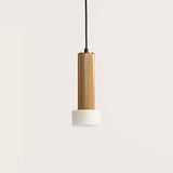 Focus Pendant Light