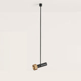 Focus Rod Pendant Light