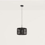 Hedula Pendant Light