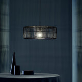 Hedula Pendant Light