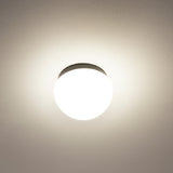 Circ Single Ceiling Light