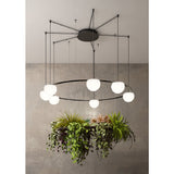Circ 4lt Pendant Light
