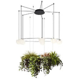Circ T-3815 T-3816 Composition Chandeliers