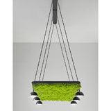 Cupolina 6lt Pendant Light
