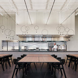 Revolta Single Pendant Light