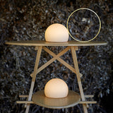 Circ Ring Table Lamp