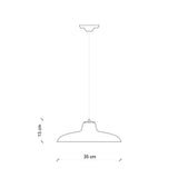 B&W Curve Pendant Light