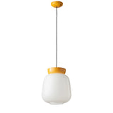 Corcovado Pendant Light