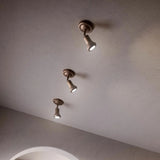Mini Adjustable Ceiling Light