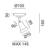 Mini Adjustable Ceiling Light
